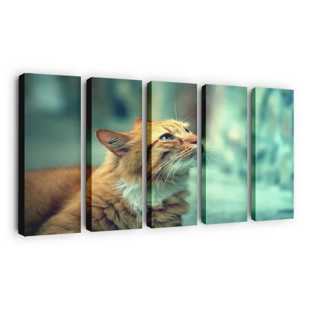Katzenportrt im Retro-Stil – Katzen Leinwandbild