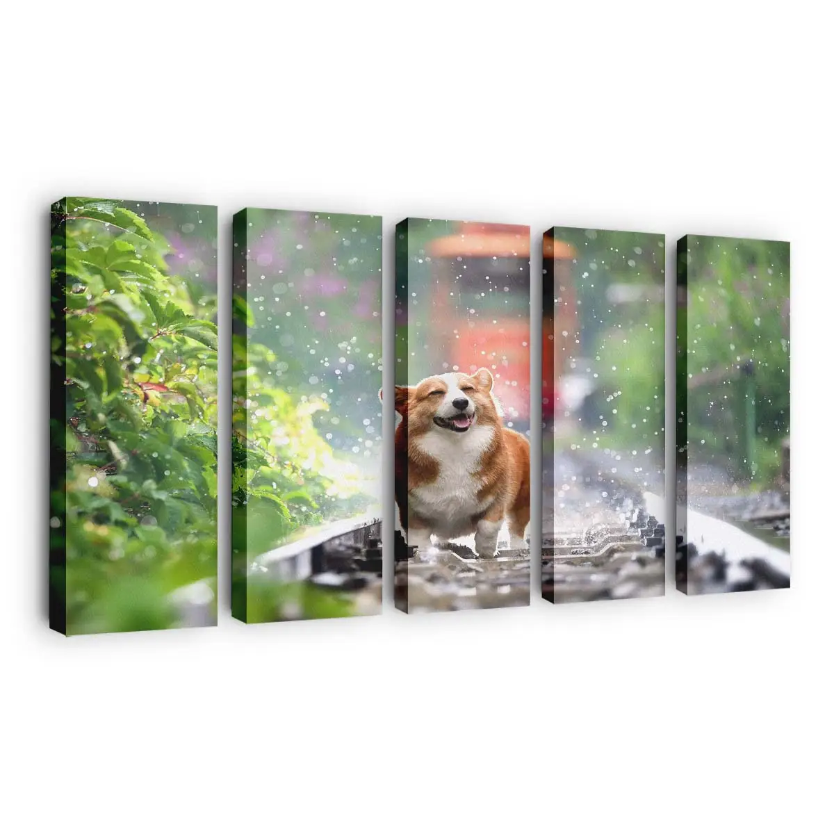 Lchelnder Corgi – Hunde Leinwandbild