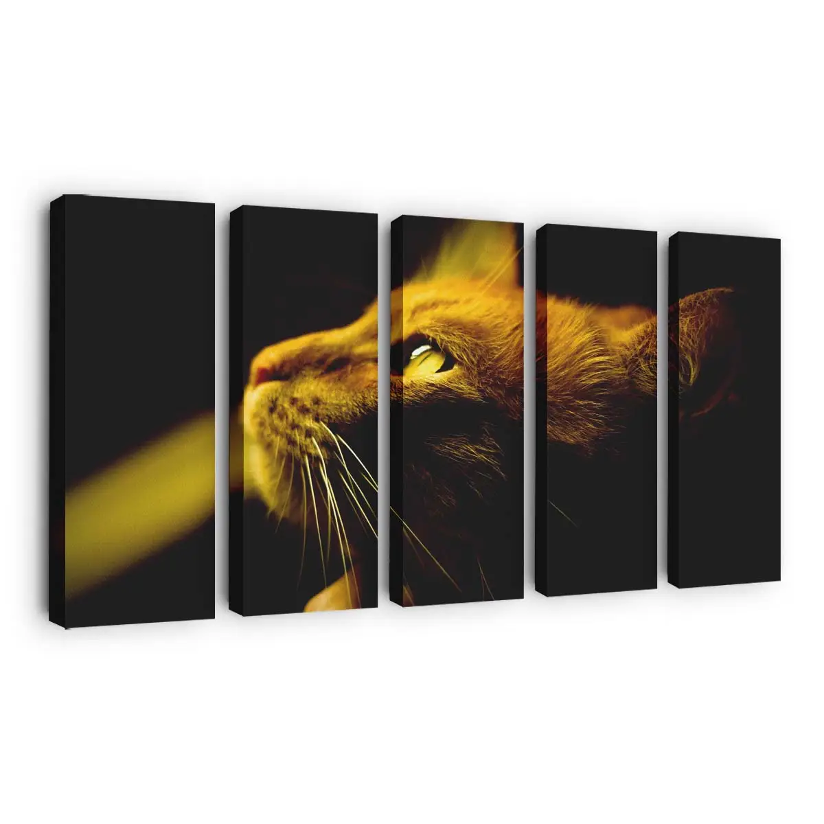Profil einer Roten Katze – Katzenmotiv Leinwandbild