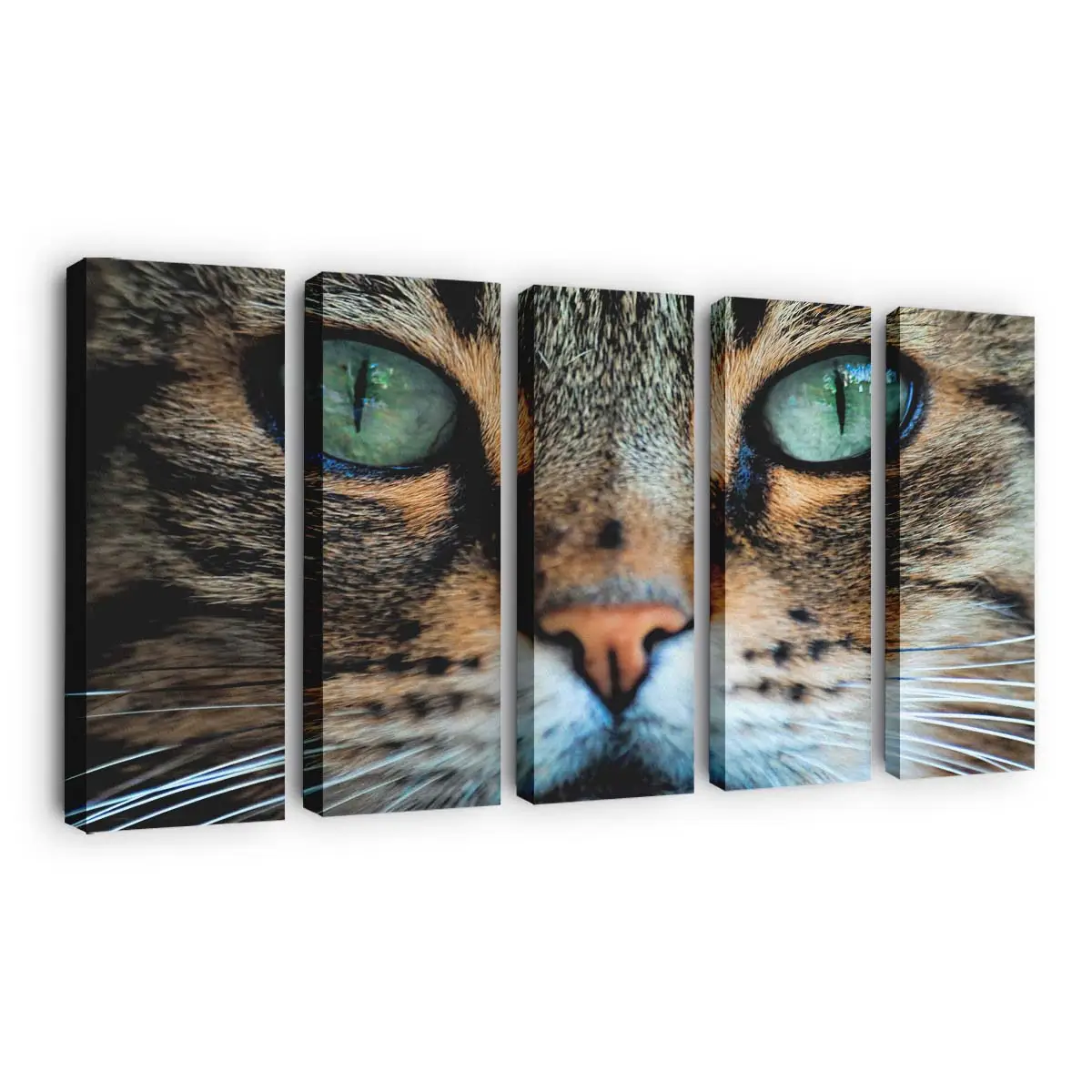 Rote Katze Namens Simba – Katzen Wandbild
