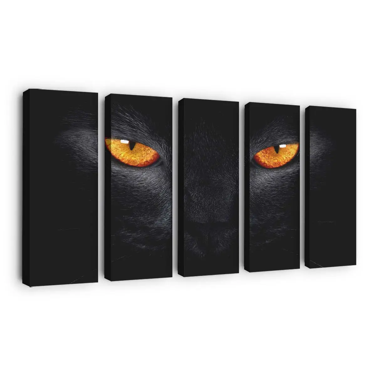 Schwarze Katze Blickt in die Kamera – Katzen Leinwandbild