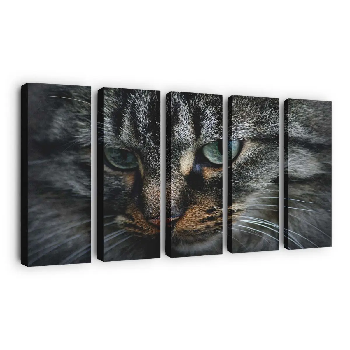 Verspieltes Kätzchen 5 – Kätzchen Wandbild