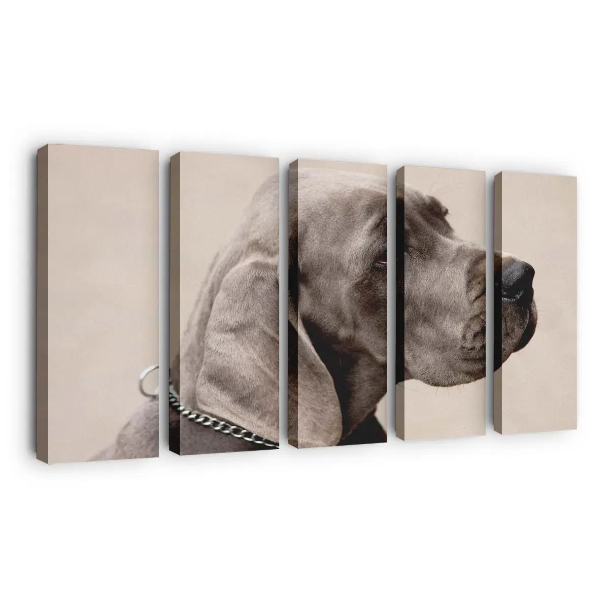 Weimaraner Fine-Art – Hunde Leinwandbild