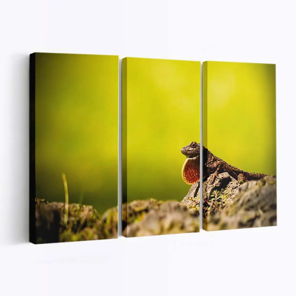 Eidechsenporträt im Makro – Gecko Wandbild