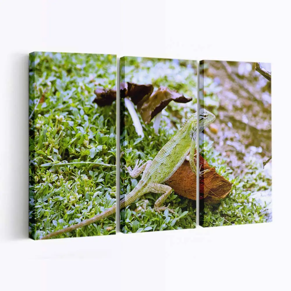 Farbwechselndes Reptil in freier Wildbahn – Reptilien Wandbild
