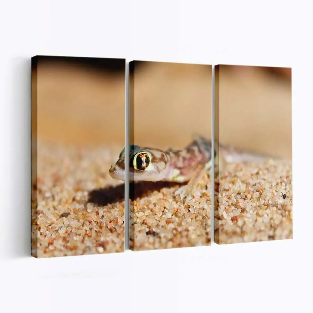 Reptil fixiert Beute im Makro – Reptilien Wandbild