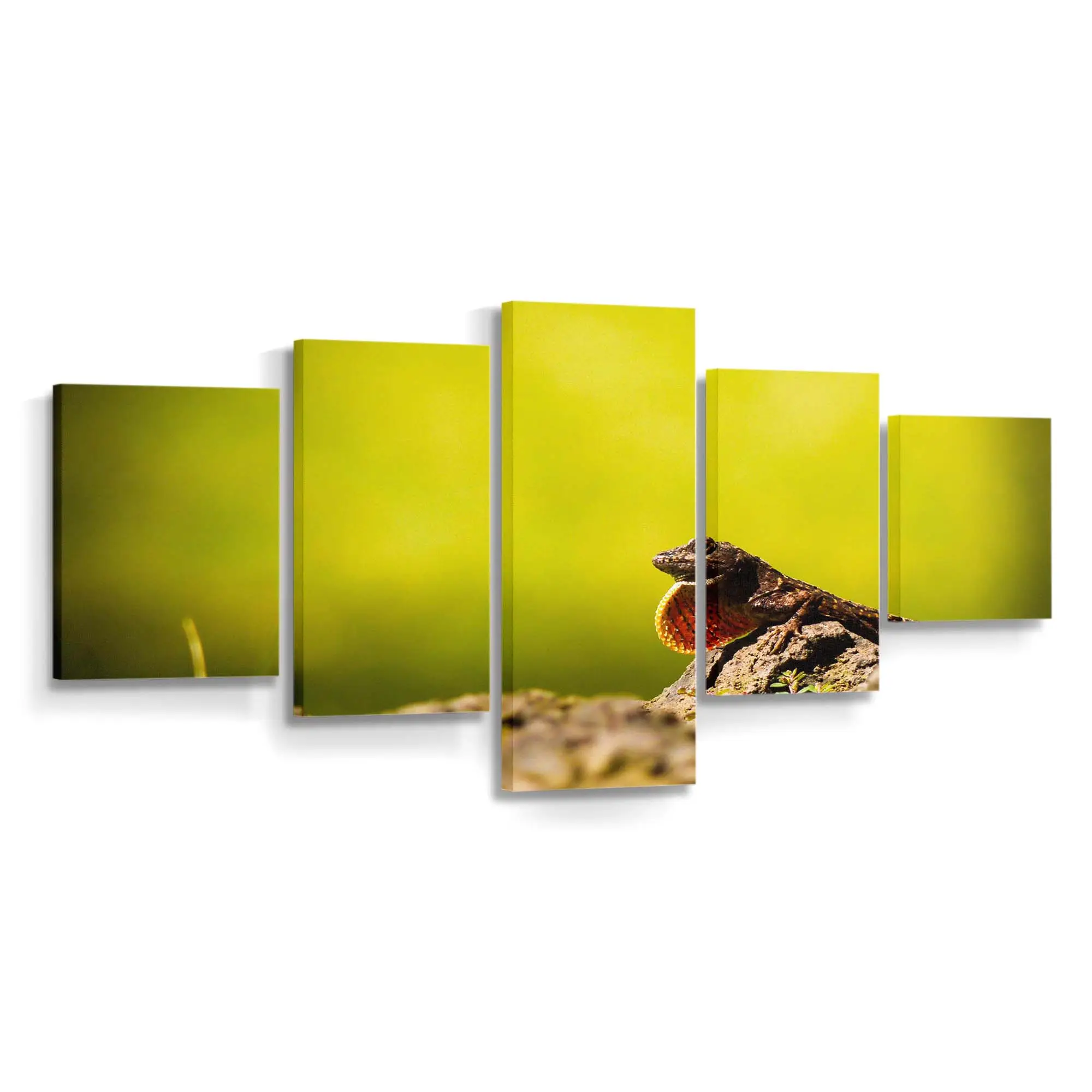 Eidechsenporträt im Makro – Gecko Wandbild