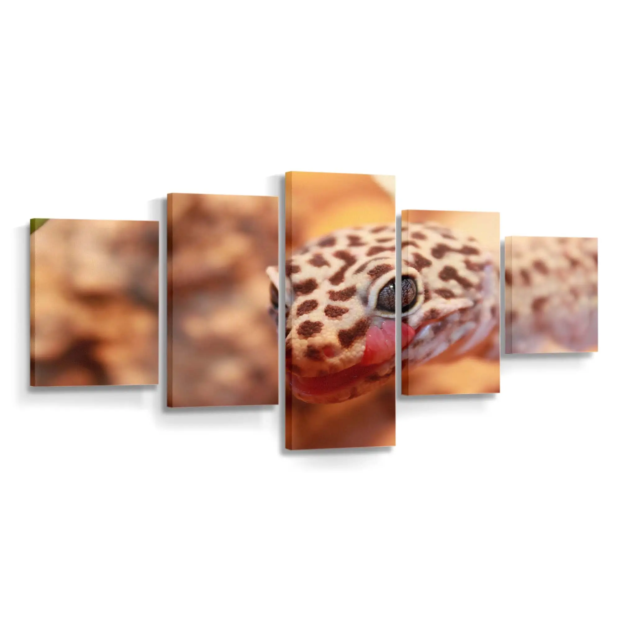 Leopardgecko in Nahaufnahme – Gecko Wandbild