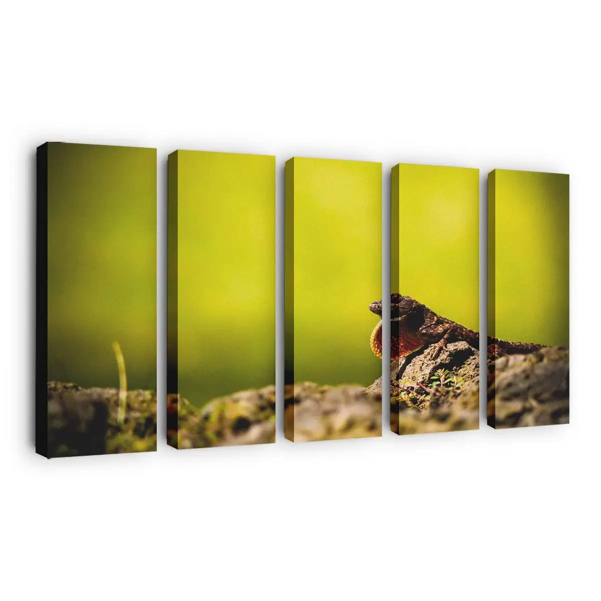 Eidechsenporträt im Makro – Gecko Wandbild