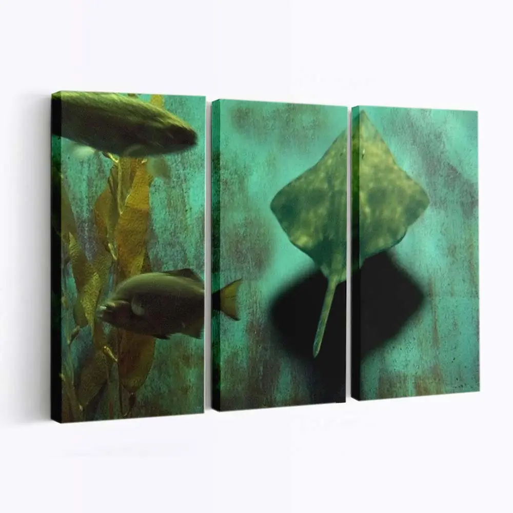 Bunte Fische im Aquarium – Aquarium Leinwandbild