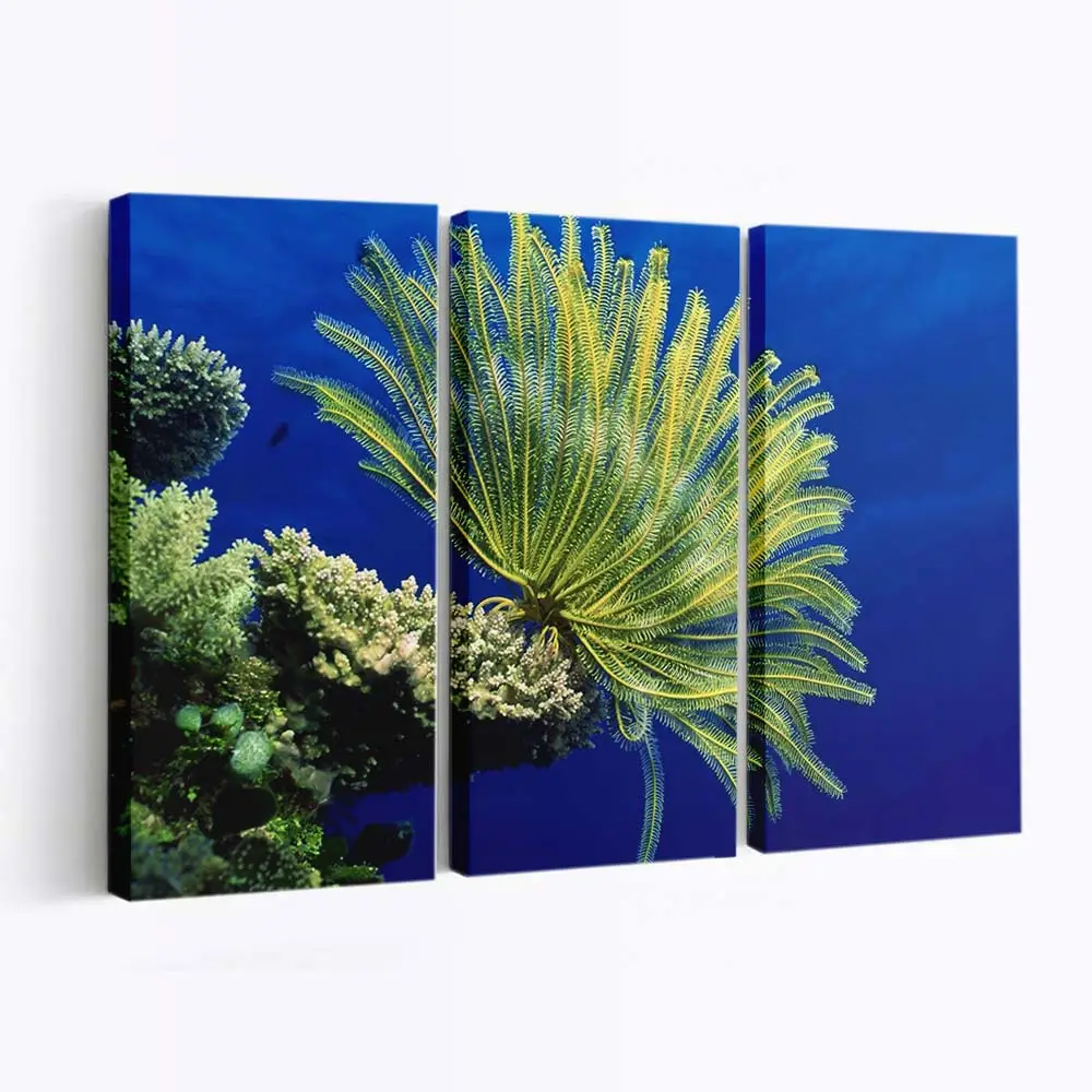 Bunte Korallen und Meereslebewesen – Unterwasser Wandbild