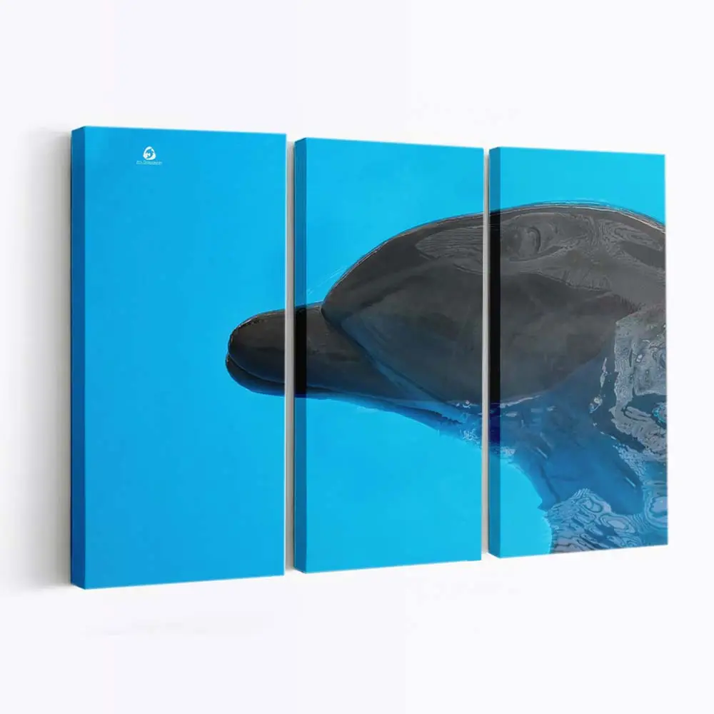 Delfin nähert sich unter Wasser – Delfin Leinwandbild