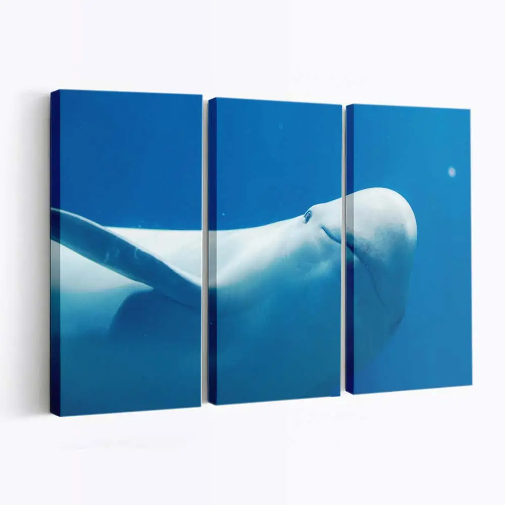 Delfin schwimmt im klaren blauen Meer – Delfin Wandbild