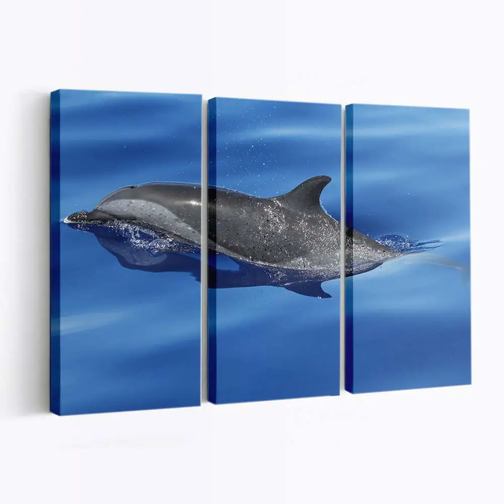 Einzelner Delfin im blauen Ozean – Delfin Leinwandbild