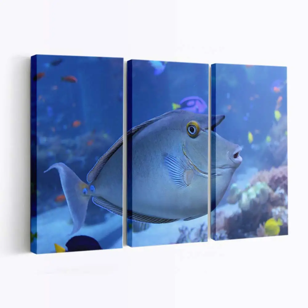 Exotischer Fisch in der Meeresströmung – Fisch Leinwandbild