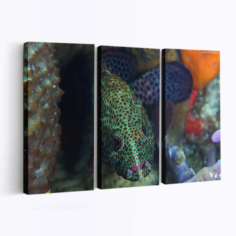 Exotischer gefleckter Fisch im Ozean – Meeresfisch Wandbild