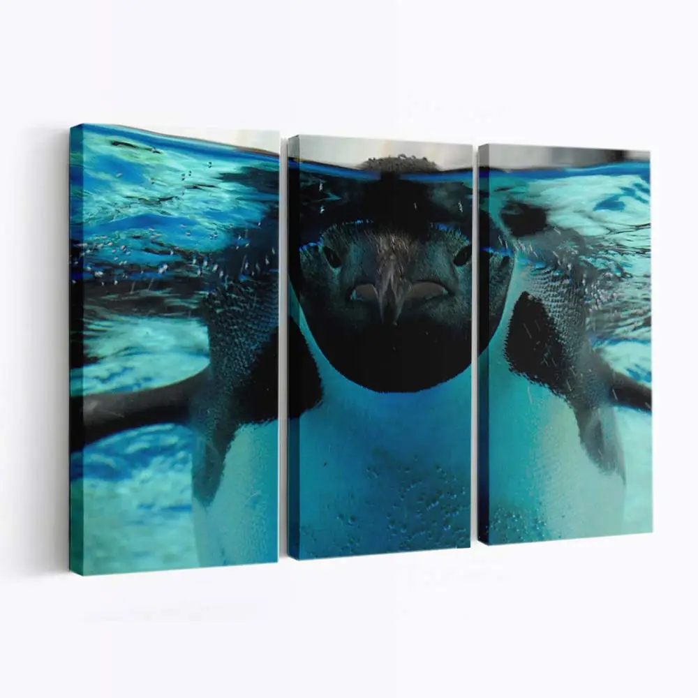 Friedliche Szenerie unter Wasser – Meereswelt Wandbild