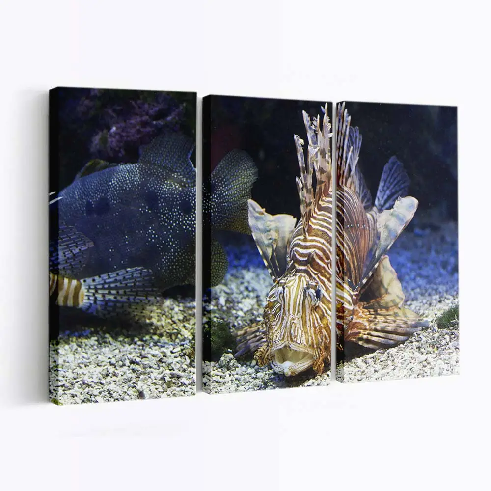 Jagender Rotfeuerfisch im Korallenriff – Korallenriff Leinwandbild