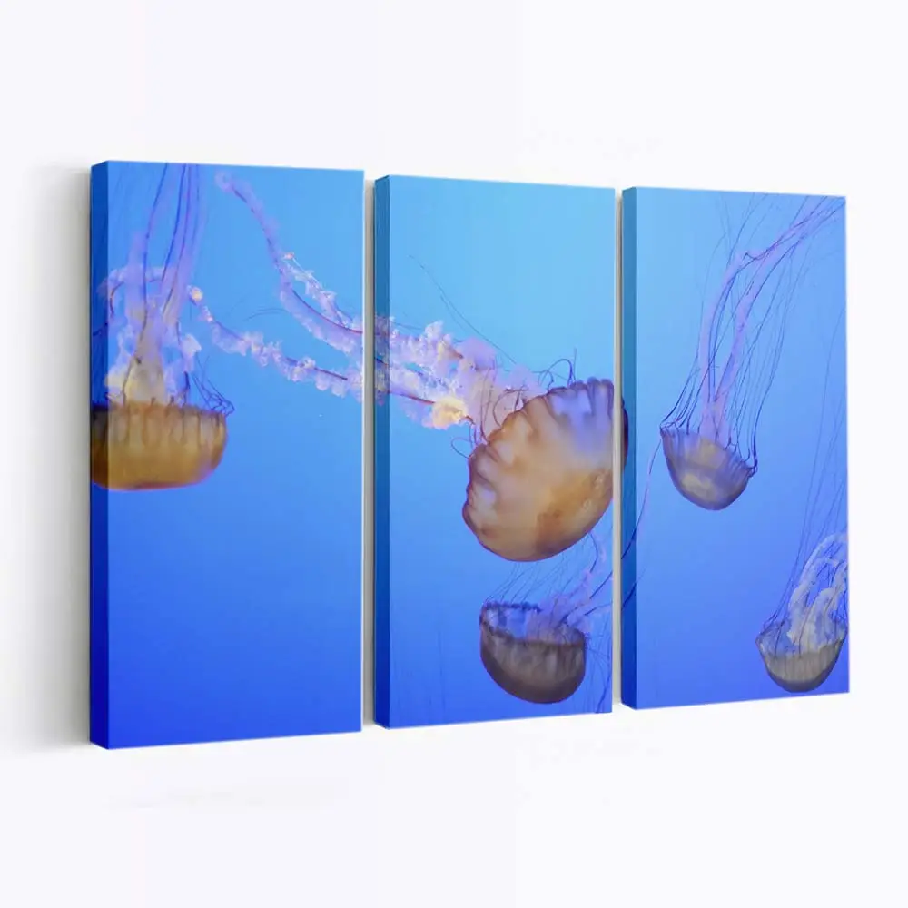 Leuchtende Neon-Qualle unter Wasser – Quallen Wandbild