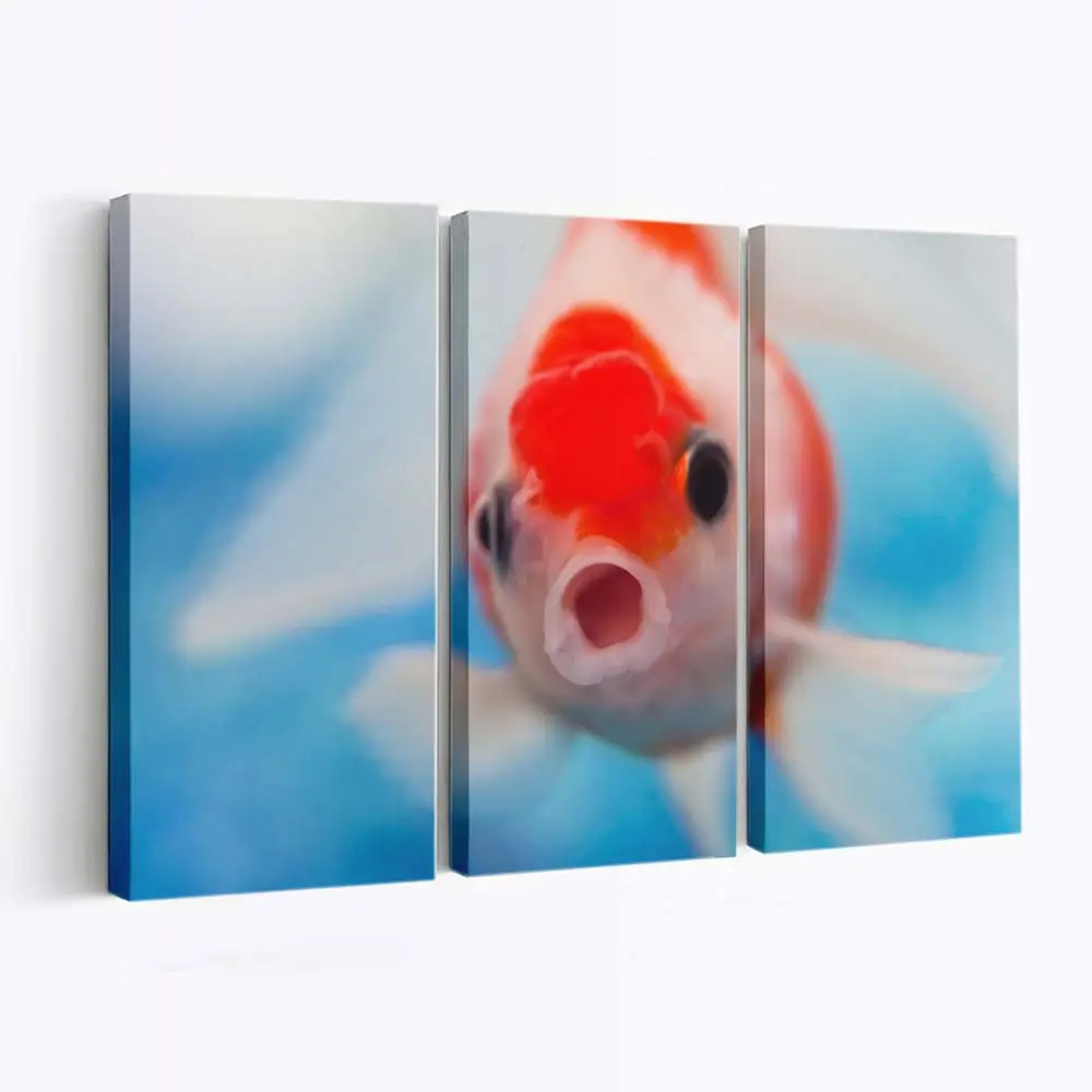 Meeresbewohner mit weit aufgerissenem Maul – Meer Wandbild