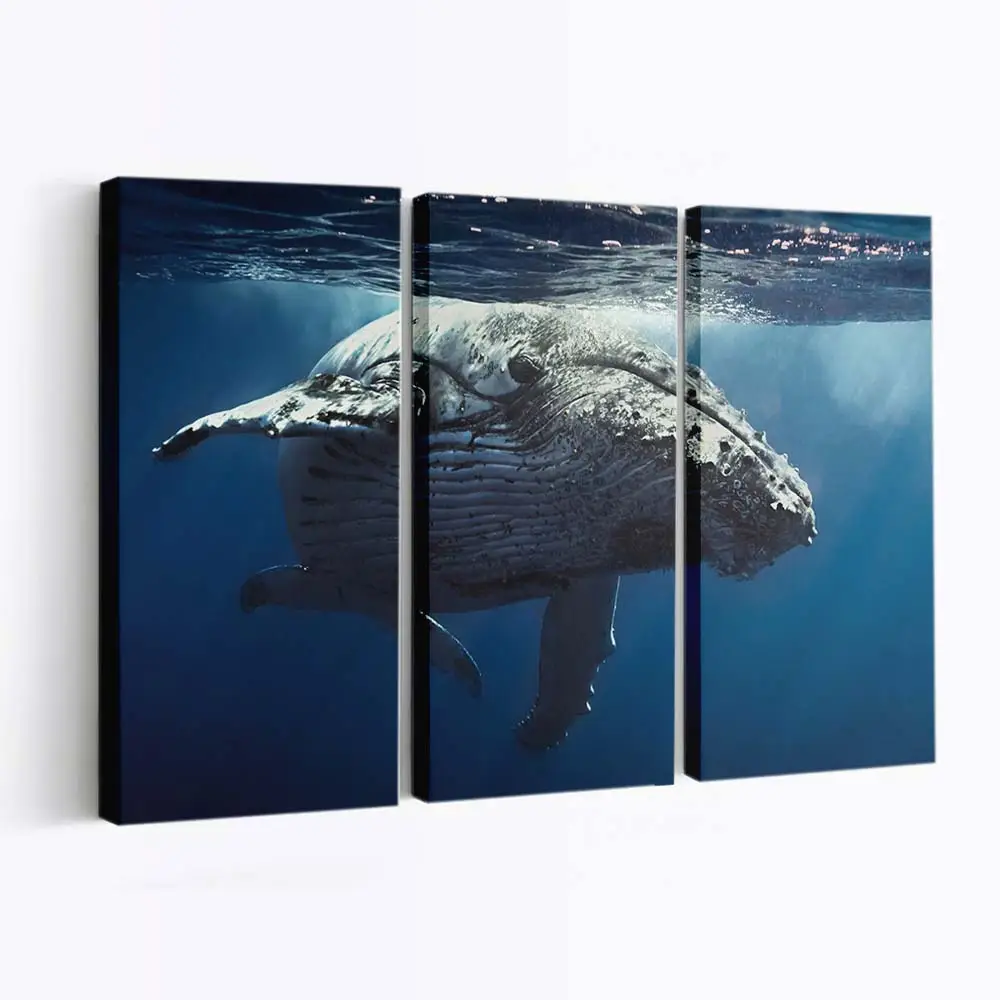 Meereslandschaft mit Korallen – Unterwasser Wandbild