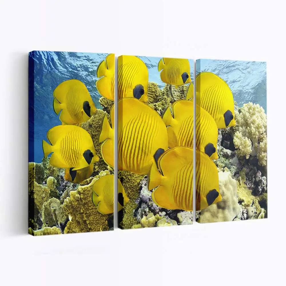 Ruhige Unterwasserlandschaft – Meereswelt Wandbild