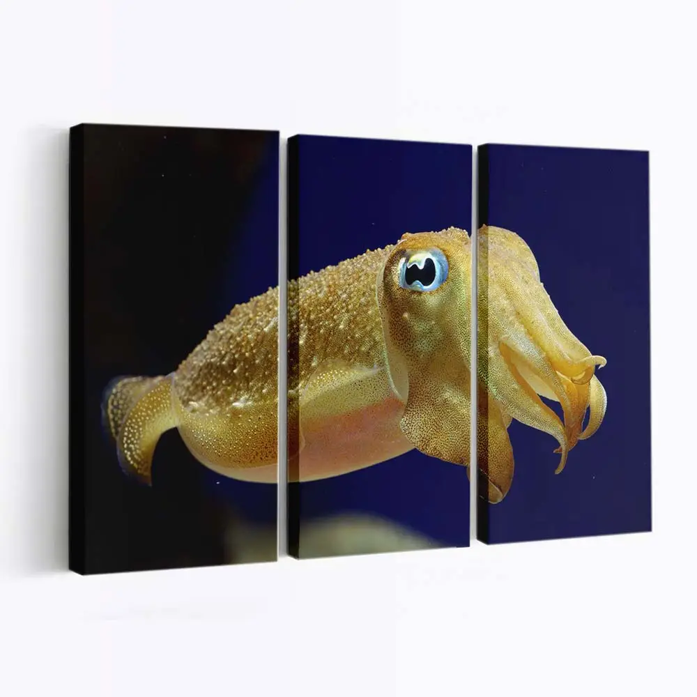 Sepia-Tintenfisch unter Wasser – Tintenfisch Leinwandbild