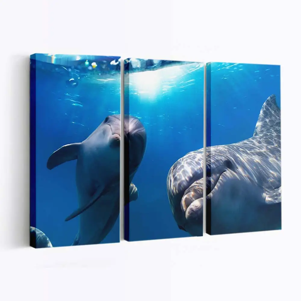 Verspielte Delfine unter Wasser – Delfin Wandbild