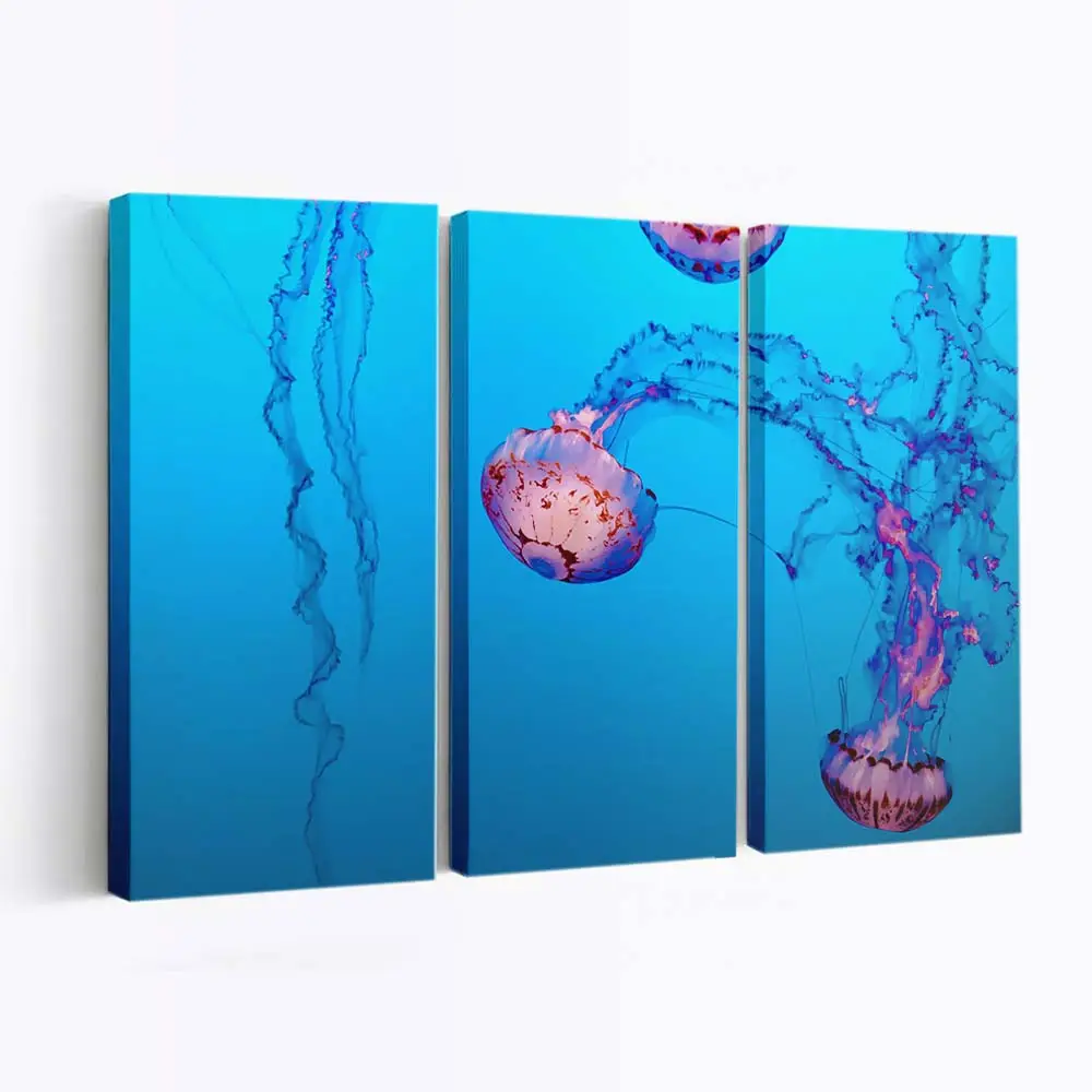 Violett gestreifte Qualle unter Wasser – Quallen Wandbild