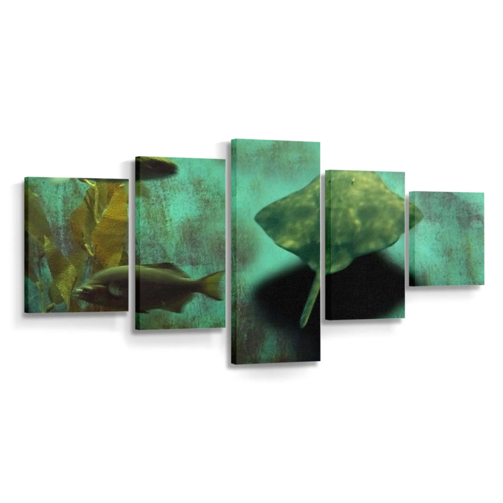 Bunte Fische im Aquarium – Aquarium Leinwandbild