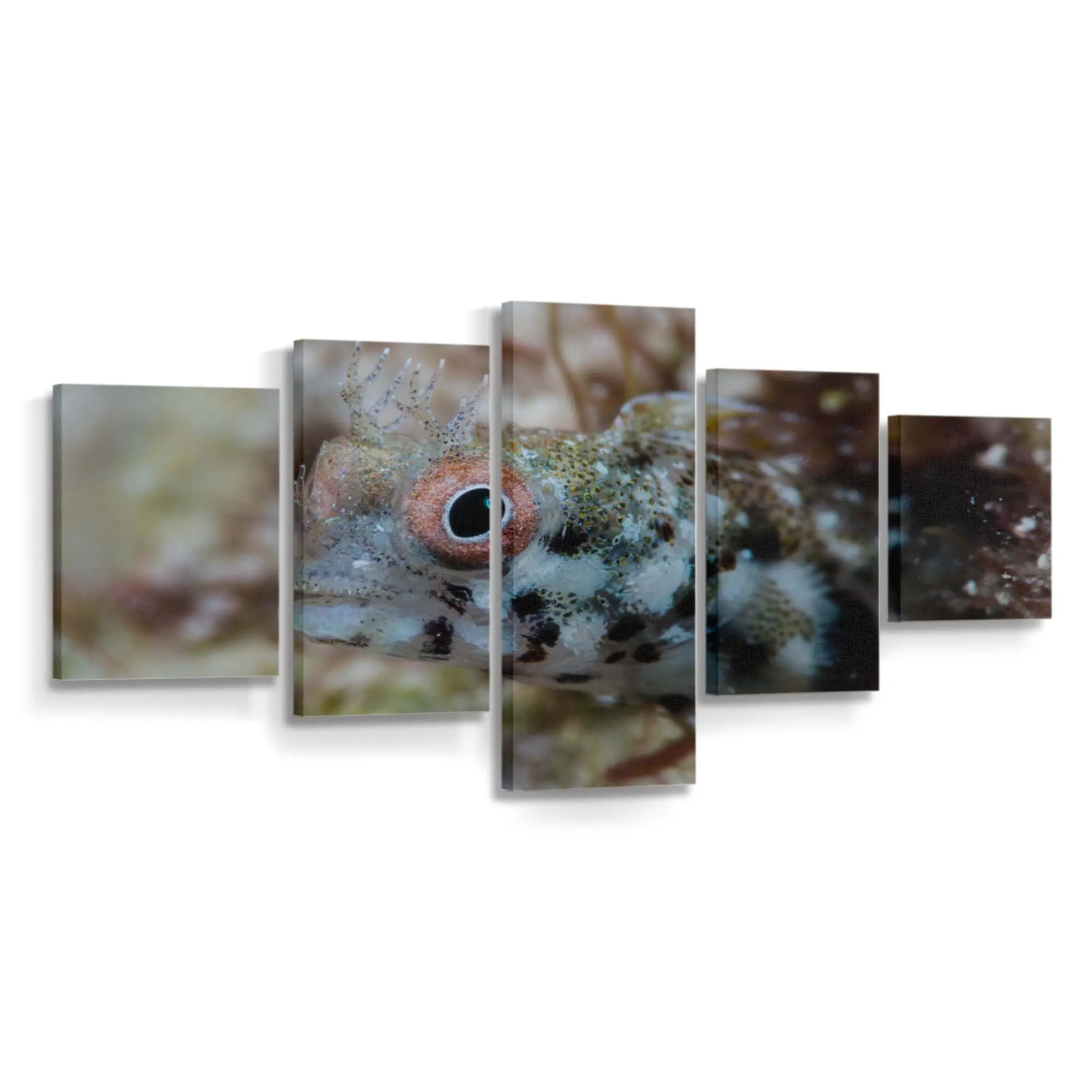 Bunte Fische unter Wasser in Key Largo – Meeresfisch Wandbild