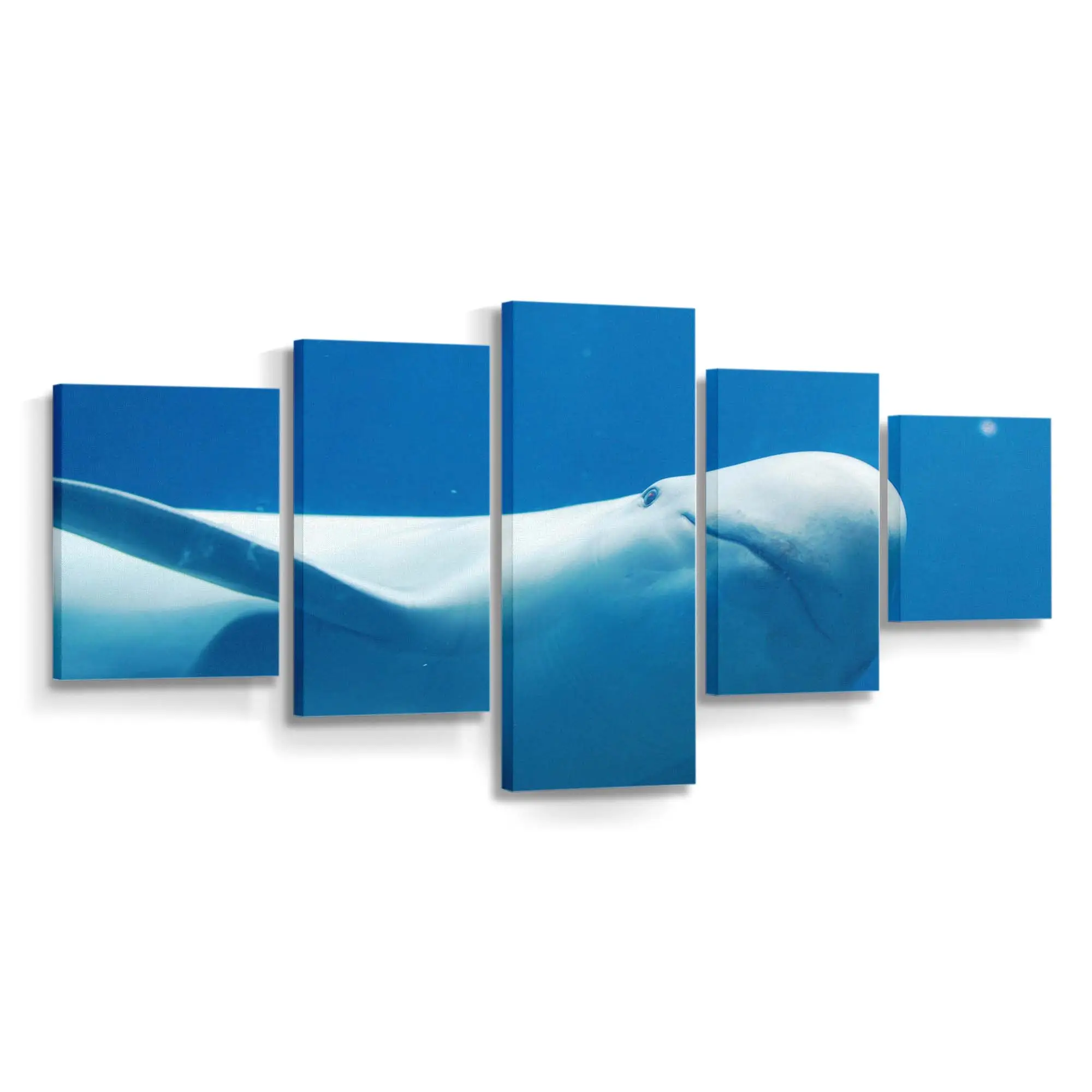 Delfin schwimmt im klaren blauen Meer – Delfin Wandbild