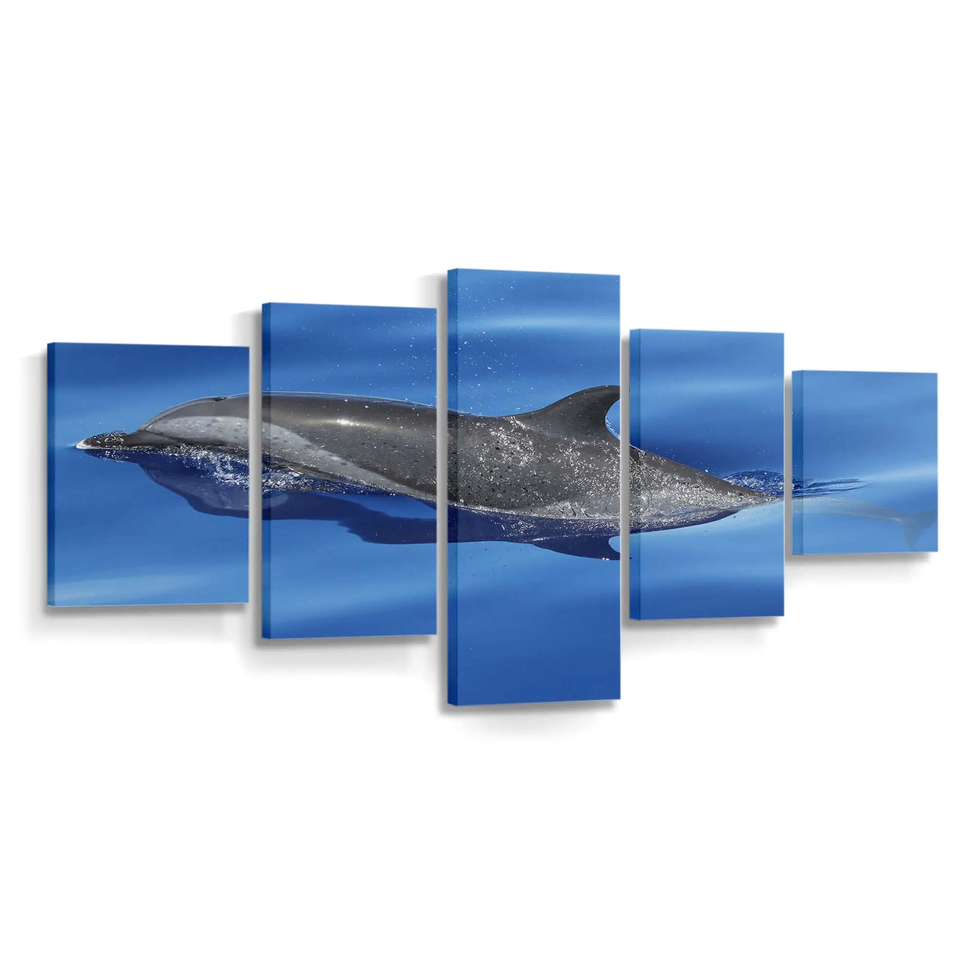 Einzelner Delfin im blauen Ozean – Delfin Leinwandbild