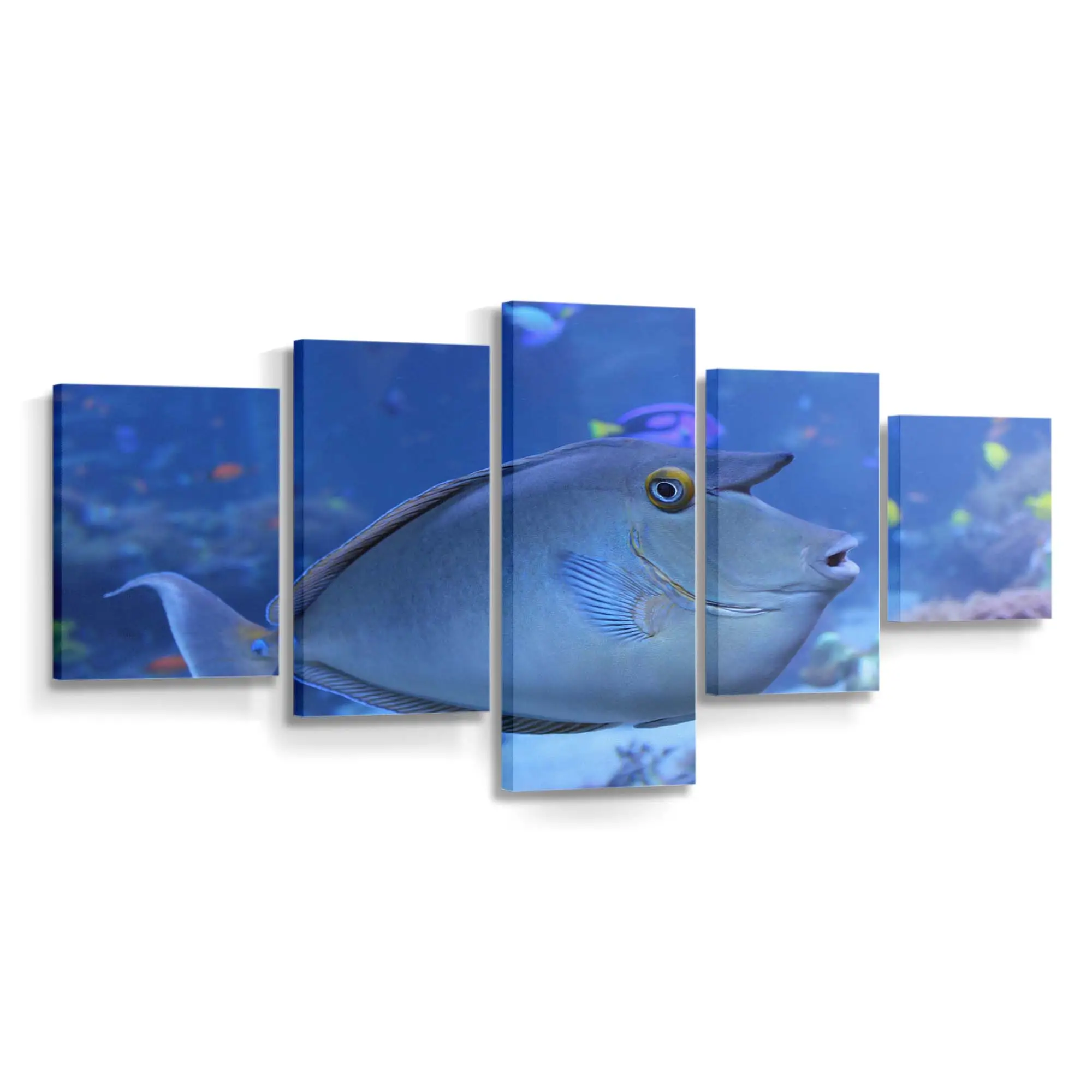 Exotischer Fisch in der Meeresströmung – Fisch Leinwandbild