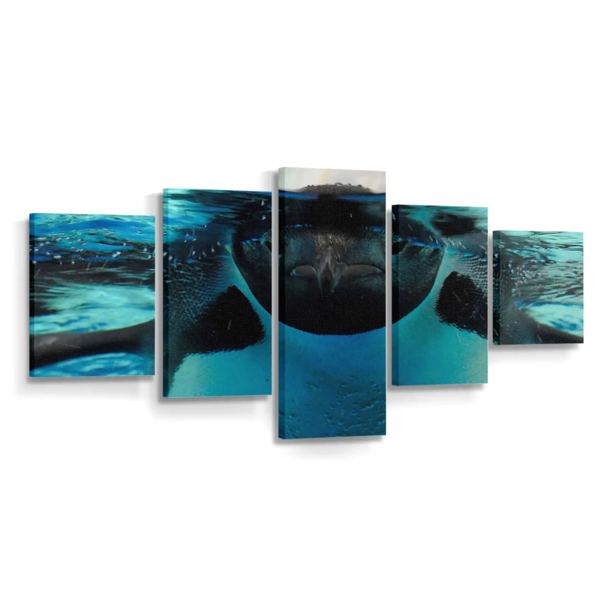 Friedliche Szenerie unter Wasser – Meereswelt Wandbild