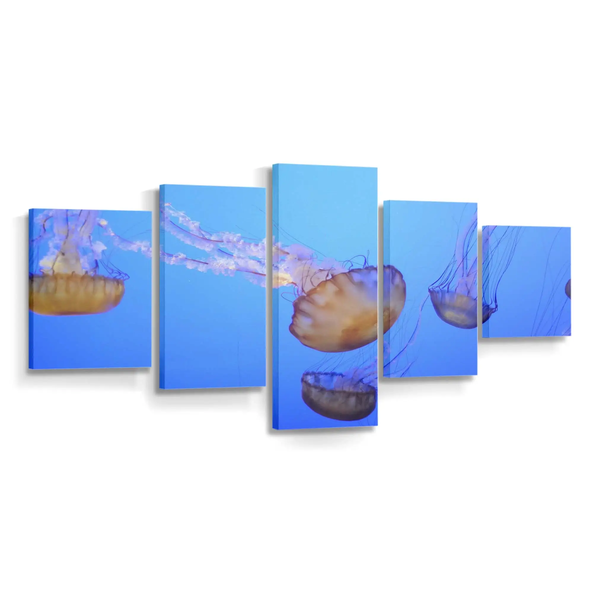 Leuchtende Neon-Qualle unter Wasser – Quallen Wandbild