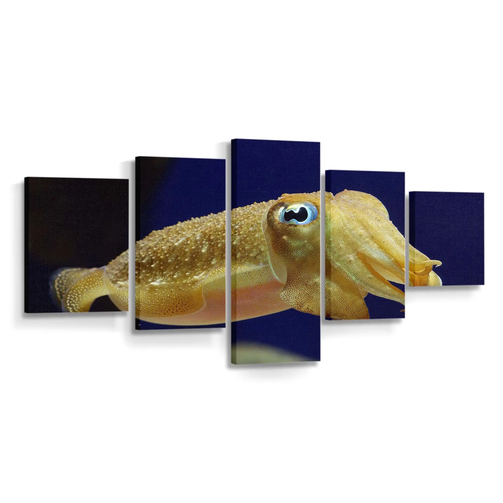 Leuchtender Tintenfisch im dunklen Ozean – Tintenfisch Leinwandbild