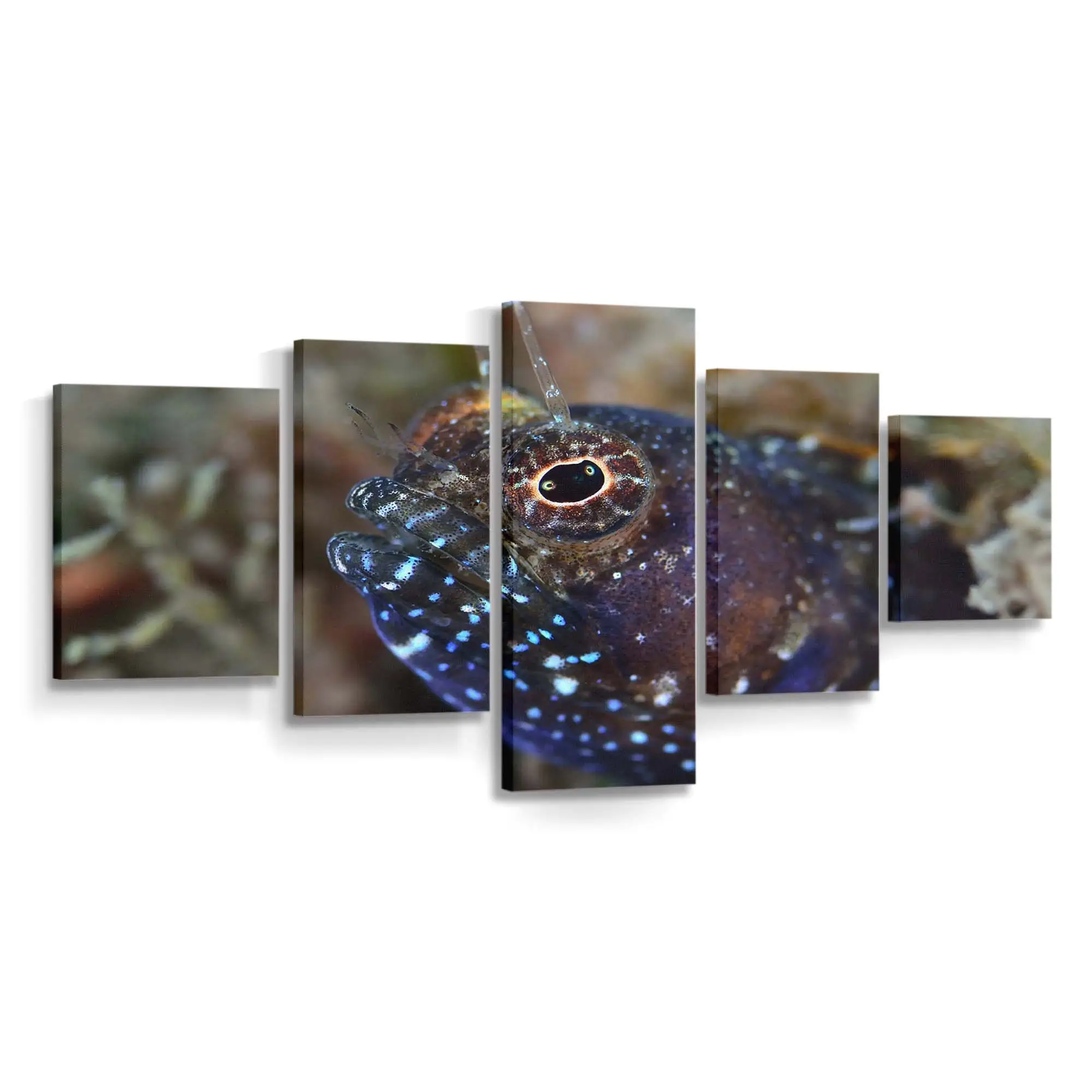Makro-Porträt eines Rifffisches – Korallenriff Leinwandbild