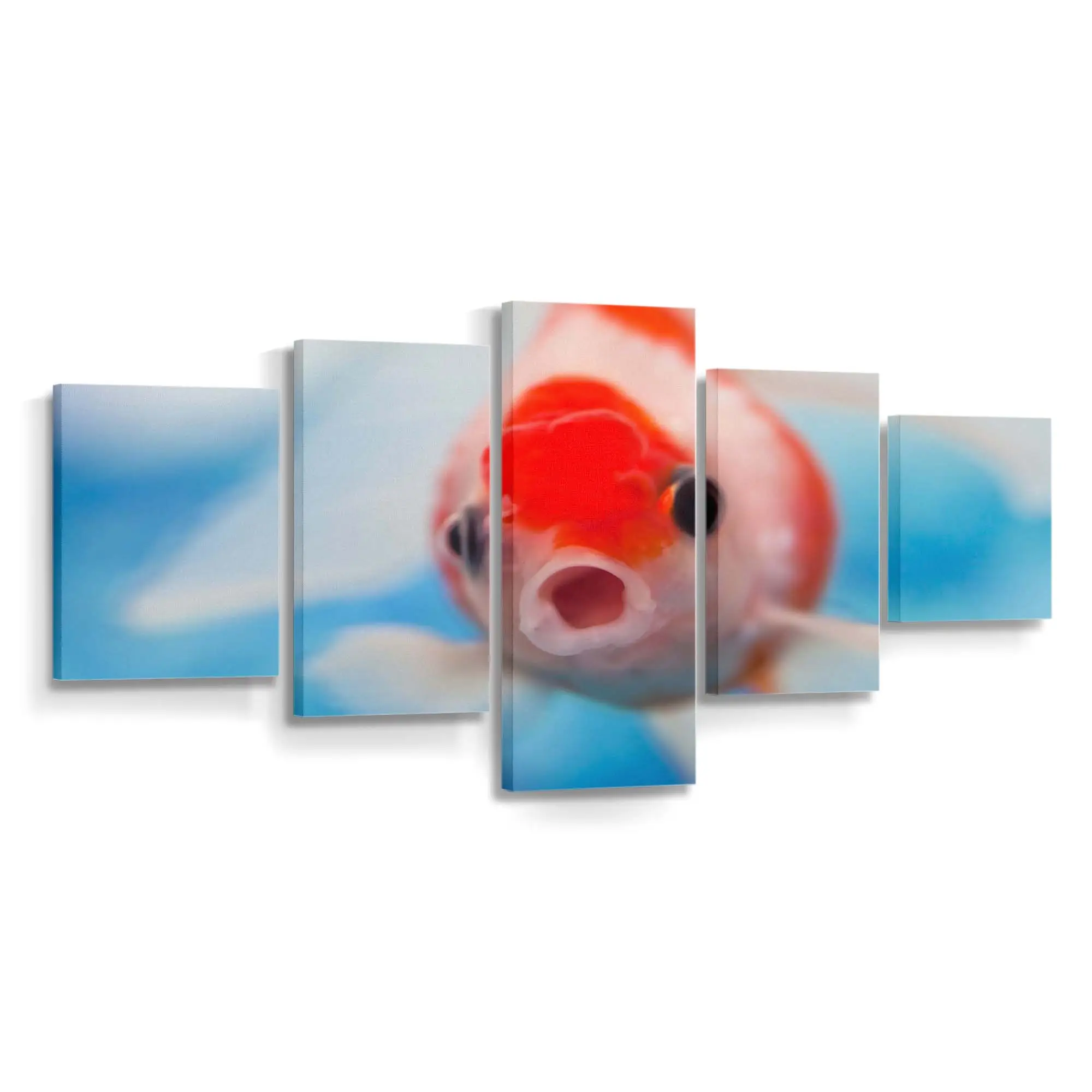 Meeresbewohner mit weit aufgerissenem Maul – Meer Wandbild