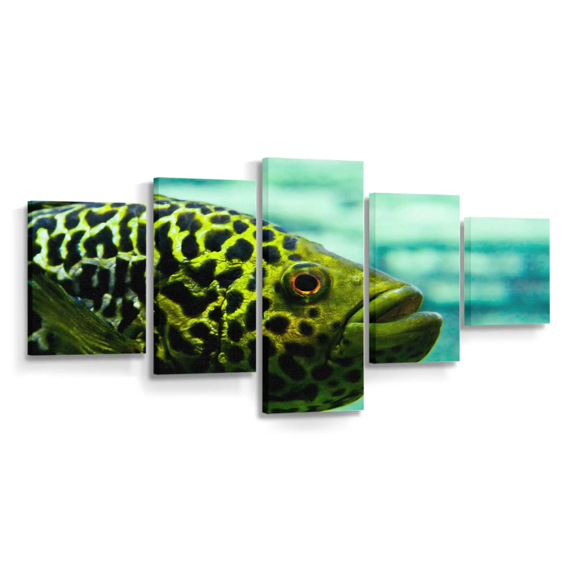 Neugieriger Fisch blickt in die Kamera – Meeresfisch Wandbild