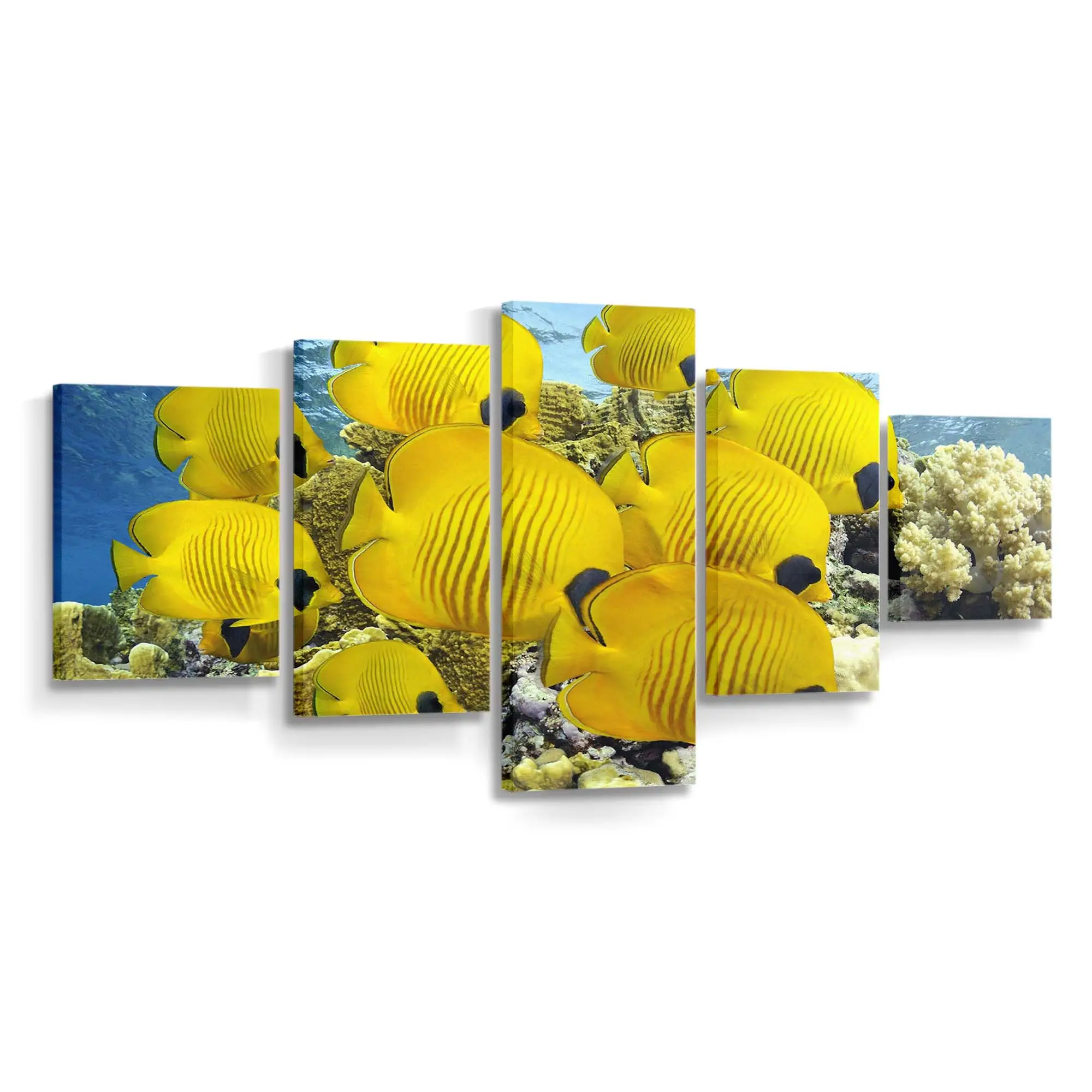 Ruhige Unterwasserlandschaft – Meereswelt Wandbild