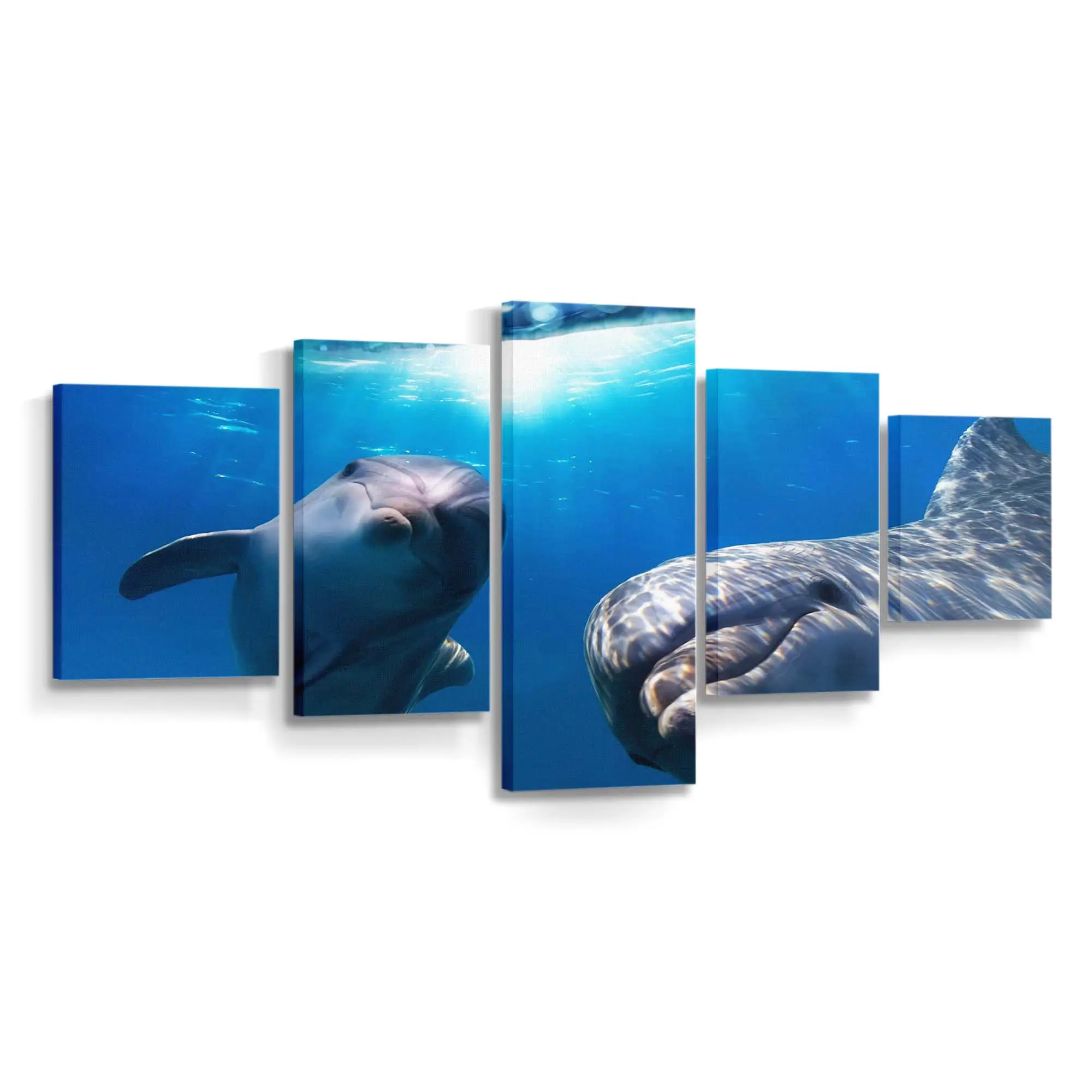 Verspielte Delfine unter Wasser – Delfin Wandbild