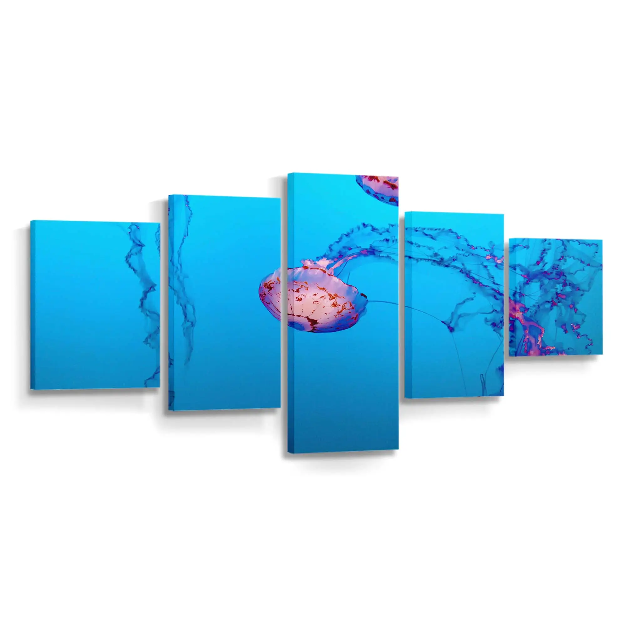 Violett gestreifte Qualle unter Wasser – Quallen Wandbild
