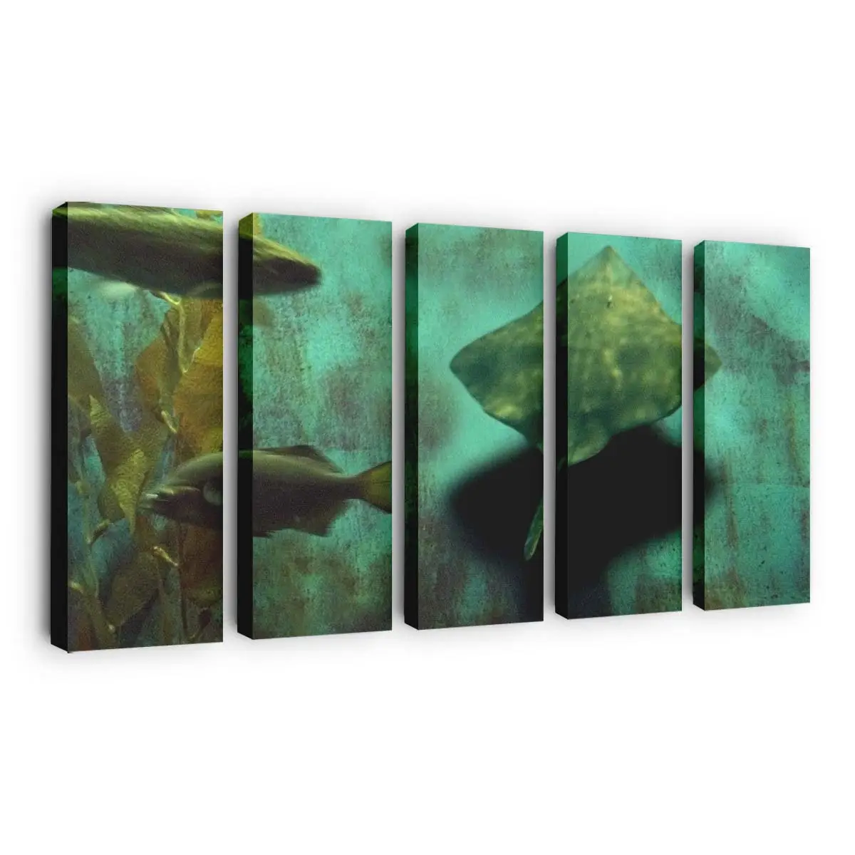 Bunte Fische im Aquarium – Aquarium Leinwandbild