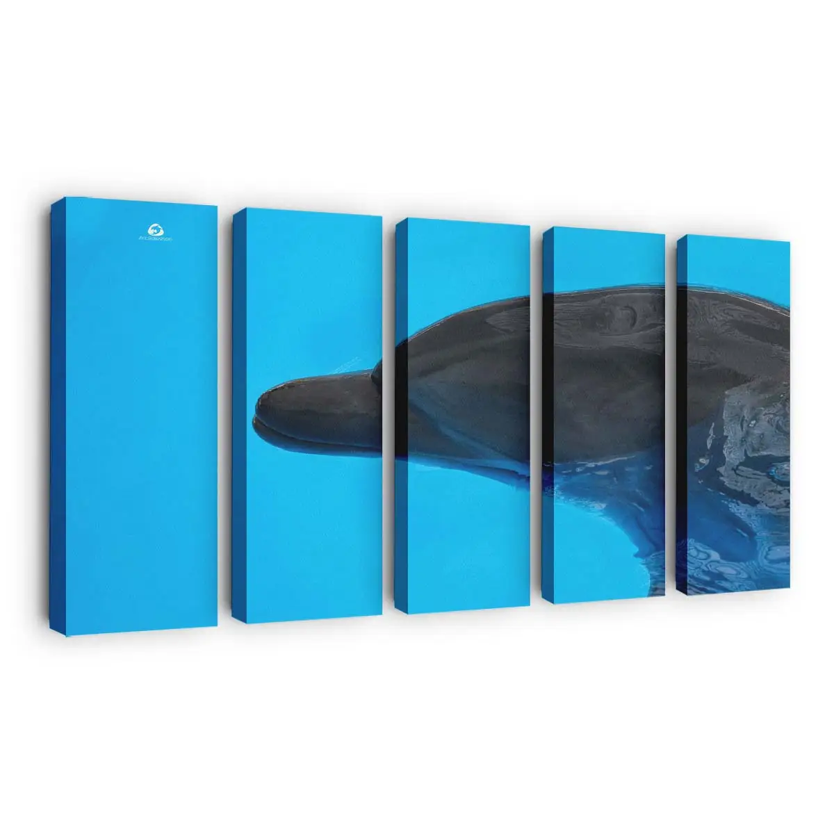 Delfin nähert sich unter Wasser – Delfin Leinwandbild