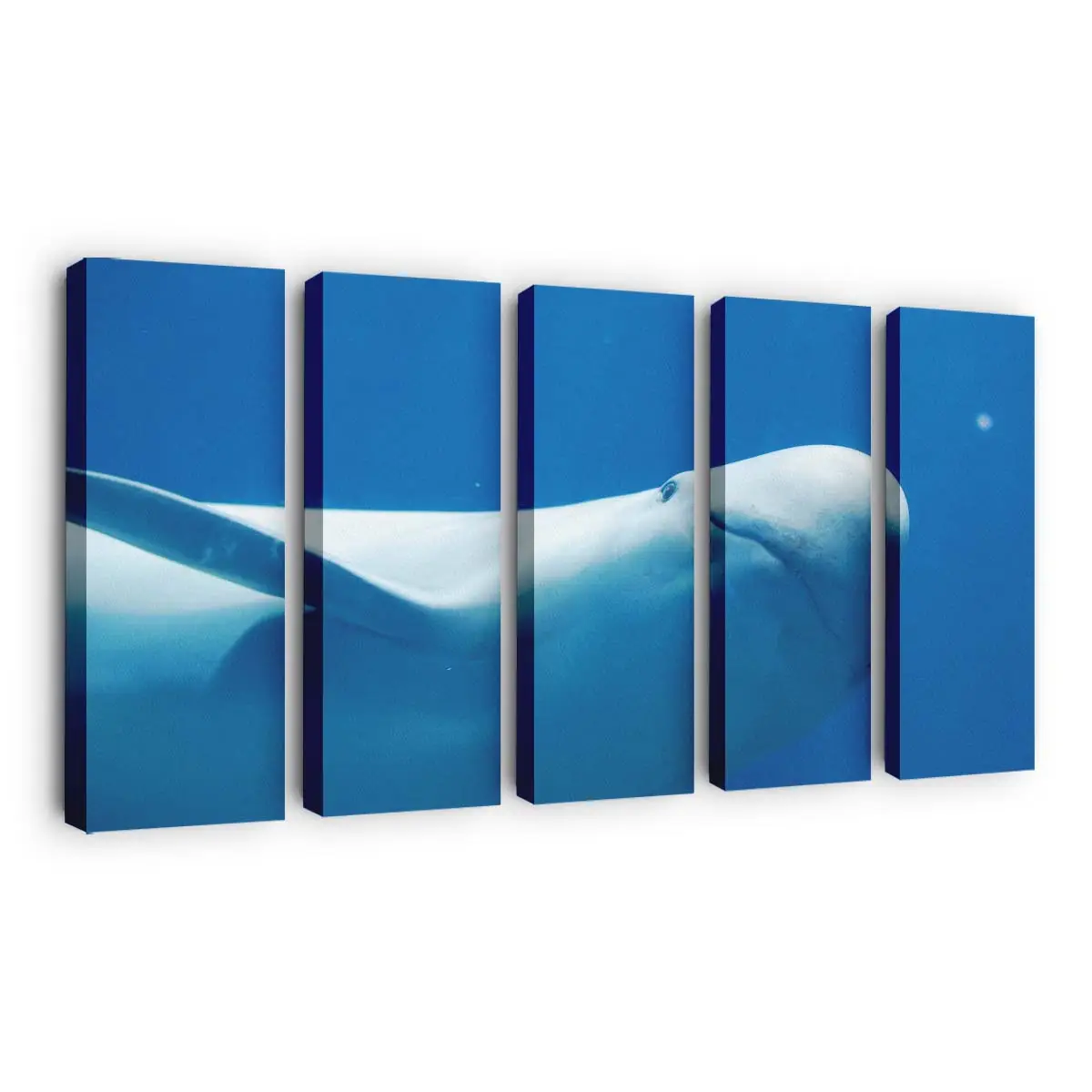 Delfin schwimmt im klaren blauen Meer – Delfin Wandbild
