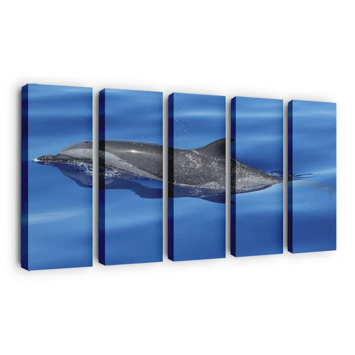 Einzelner Delfin im blauen Ozean – Delfin Leinwandbild