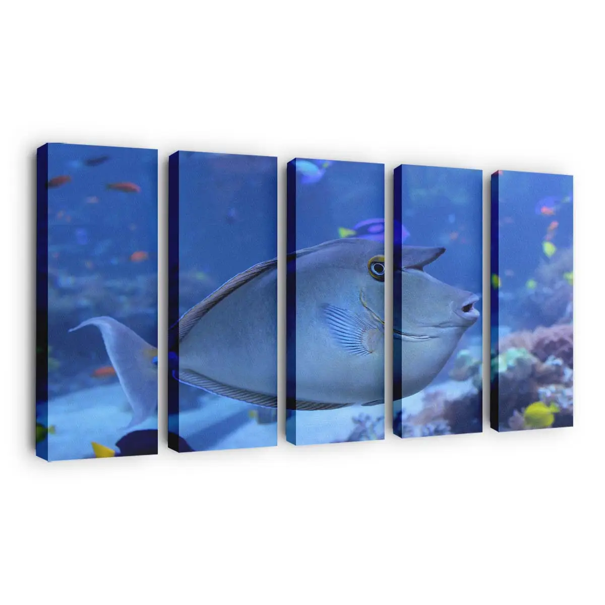 Exotischer Fisch in der Meeresströmung – Fisch Leinwandbild