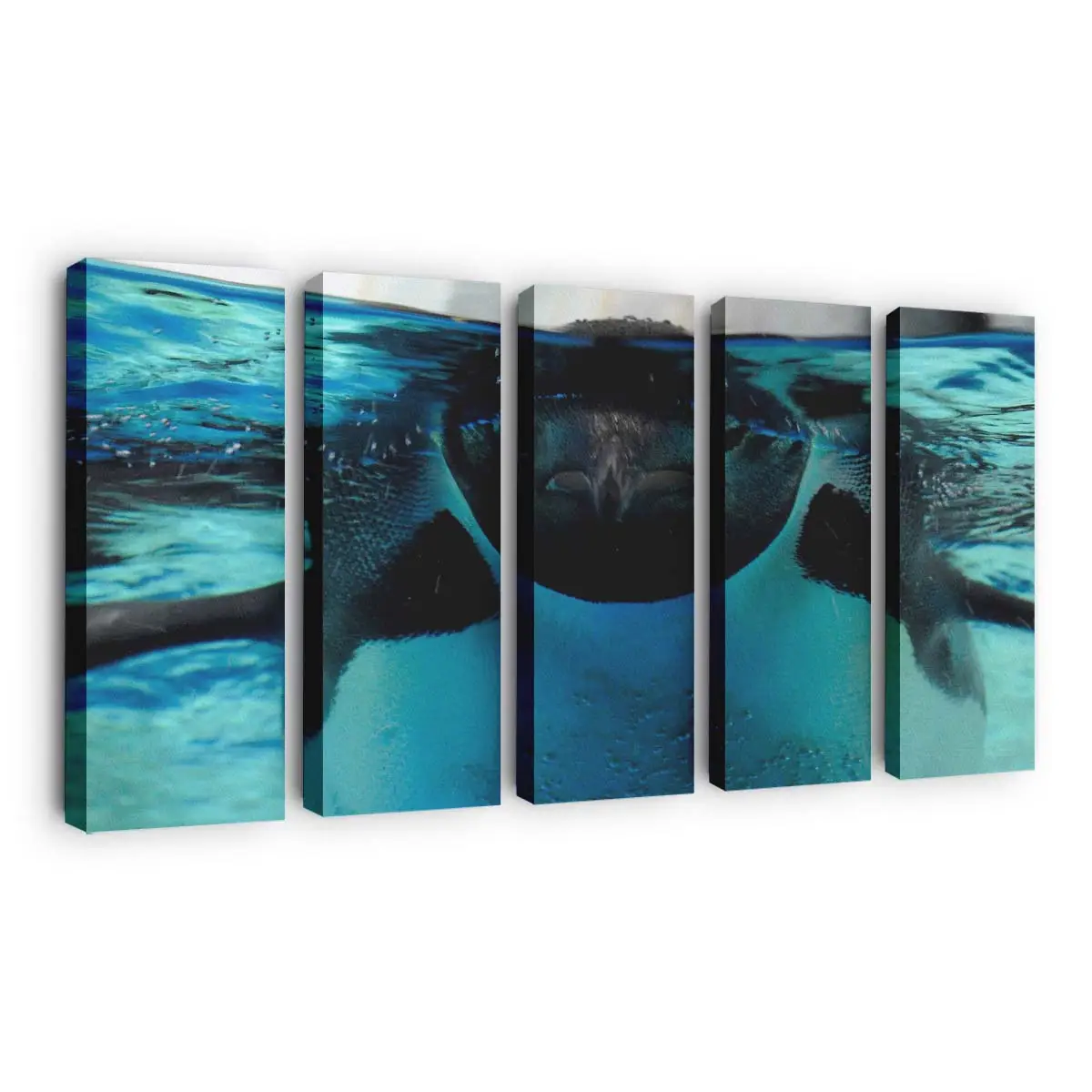 Friedliche Szenerie unter Wasser – Meereswelt Wandbild