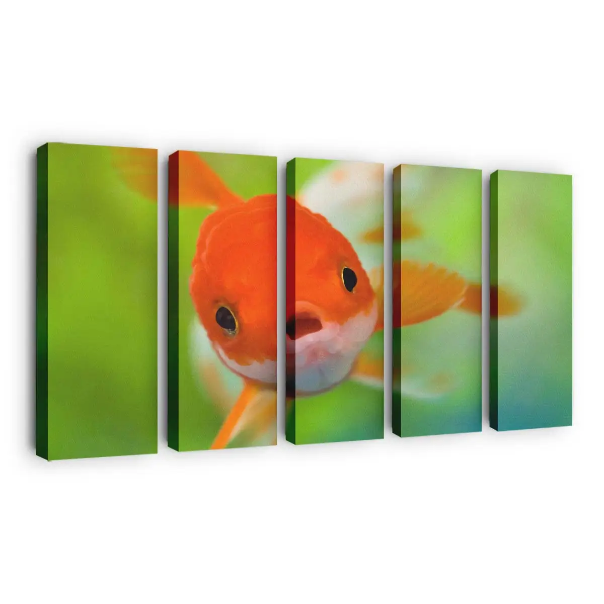 Geschocktes Fischgesicht – Fisch Leinwandbild